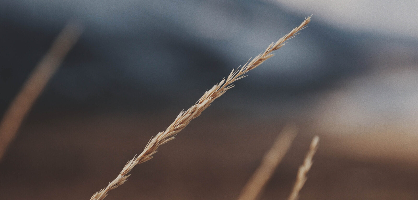 Our DNA Background Image