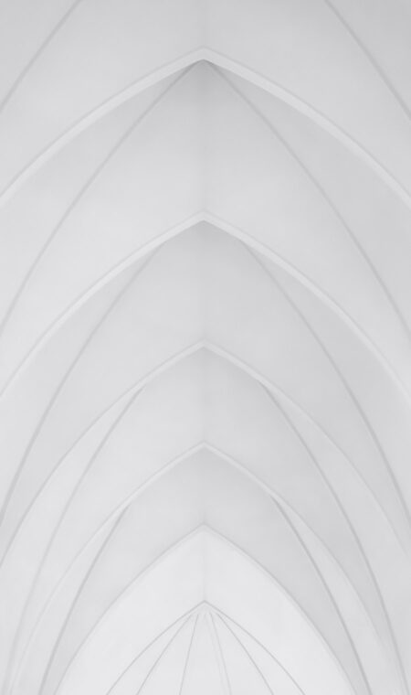 Brand Ambassador logo